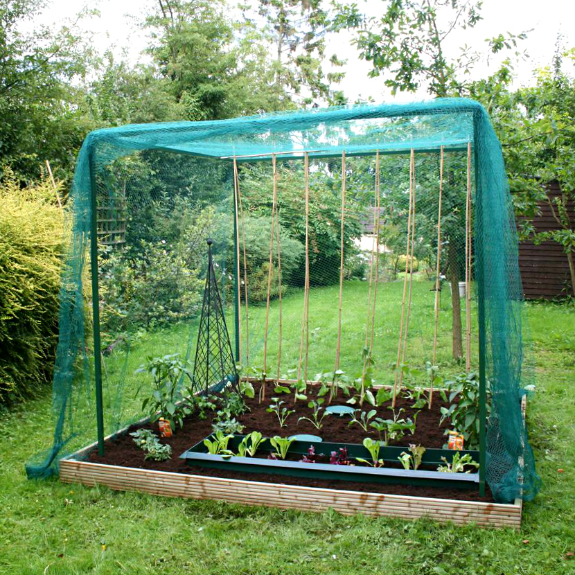 Walk in Fruit Cage: Your Garden’s Gateway to Abundant Harvests