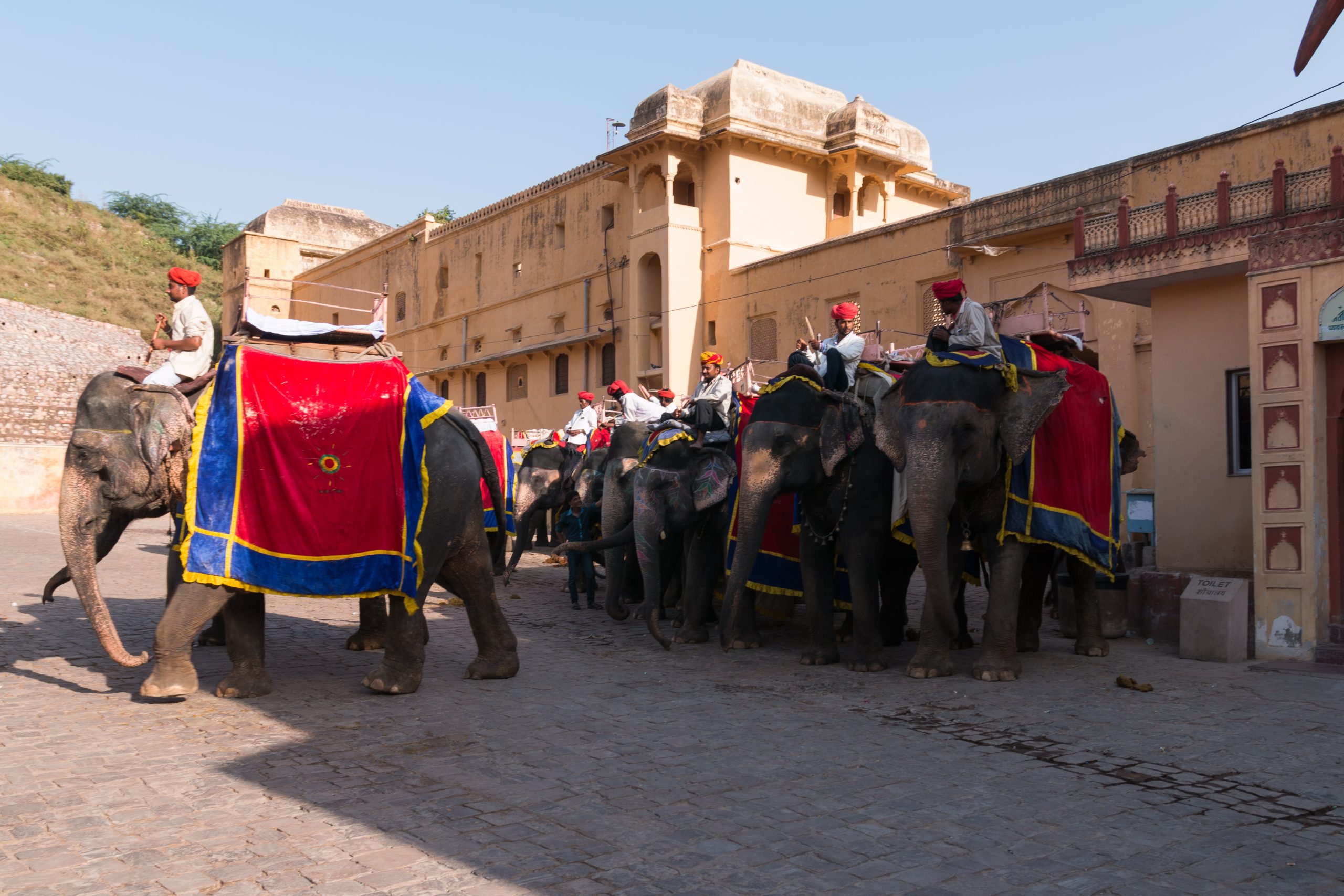 Embrace the Unknown: A Journey Through India on Your Own